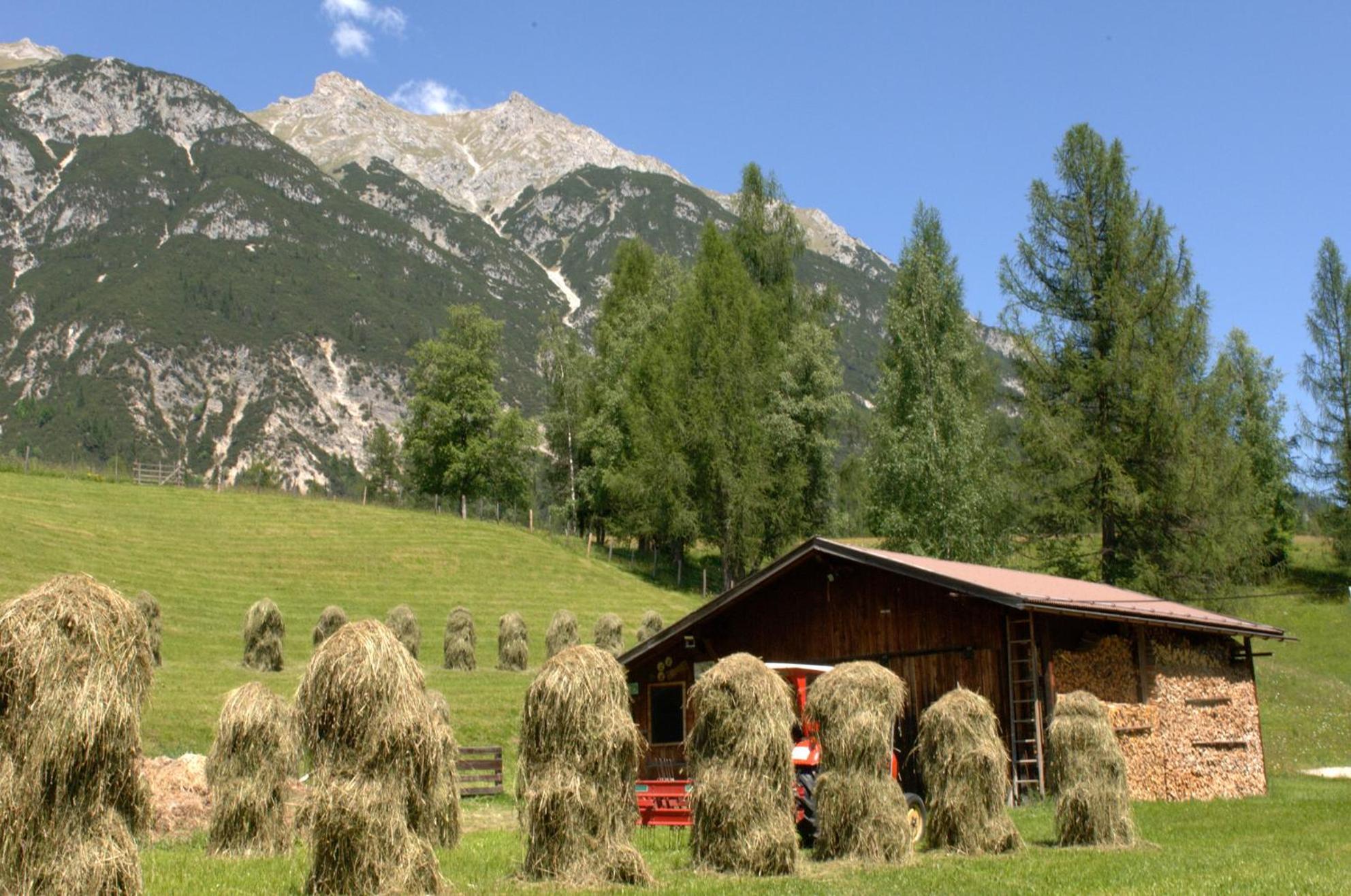 Haus Elisengrund Am Geigenbuehel - Chalet Prive Seefeld in Tirol Exteriör bild